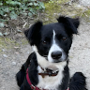 Meet your Posher, Paige